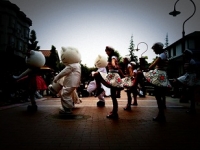 201105173.jpg